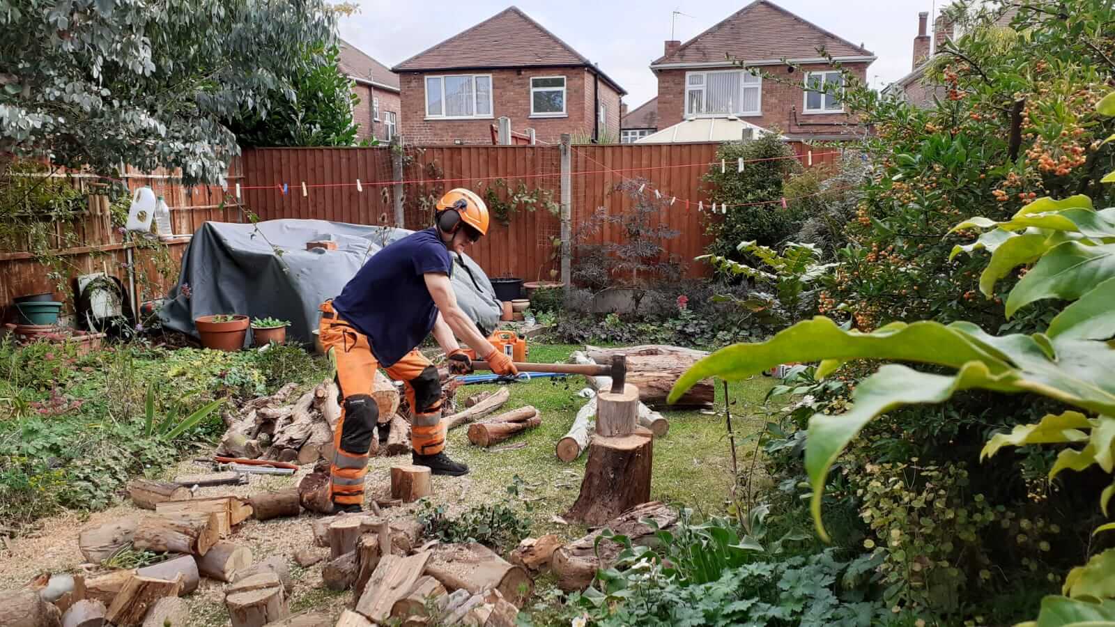 Tree surgeon climbing Nottingham