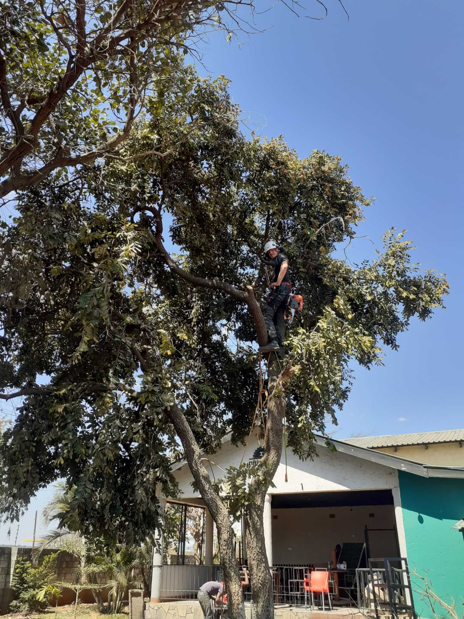 Stump grinding Nottingham